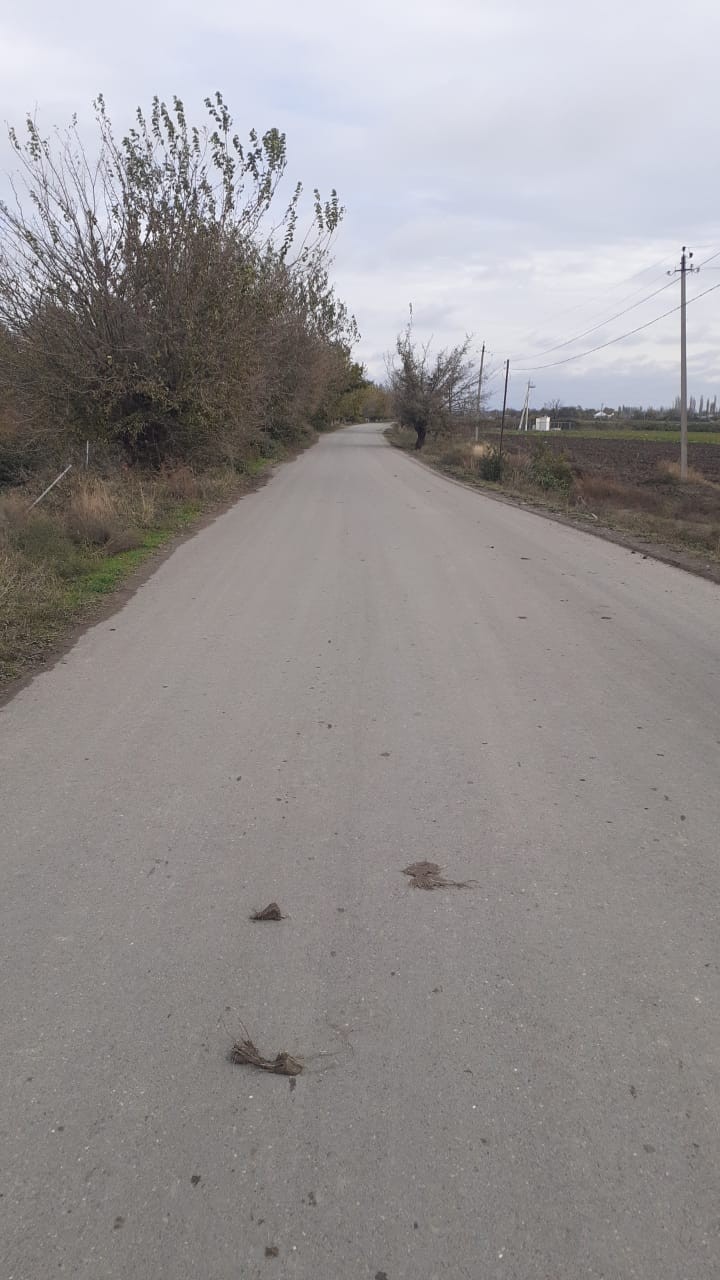 İcra başçısının bacısı oğlu yol qəzasında öldü (FOTO)